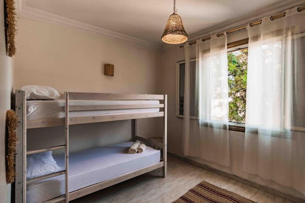 Central Majorelle Apartment 马拉喀什 外观 照片